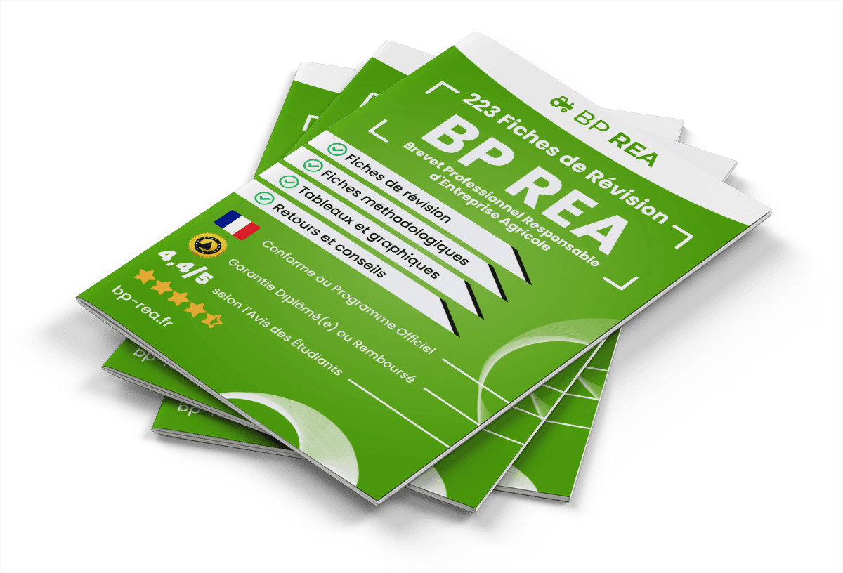 223 Fiches de Révision pour le BP REA